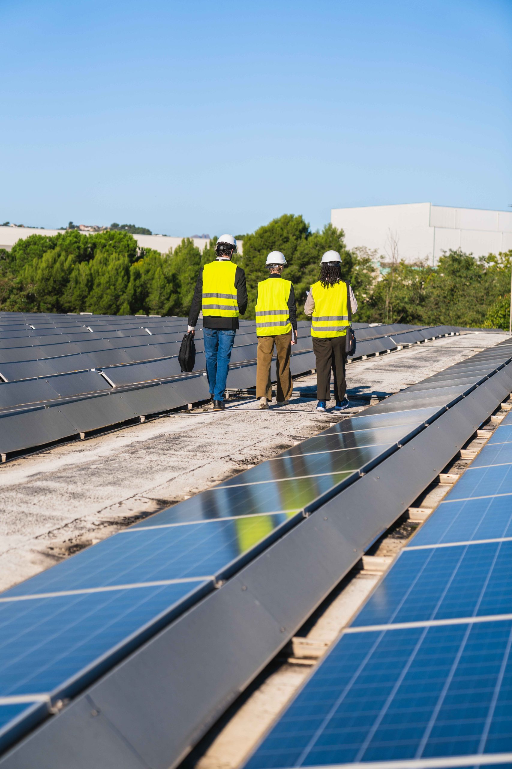 Construcción planta solar fotovoltaica instalación módulos estructura fija